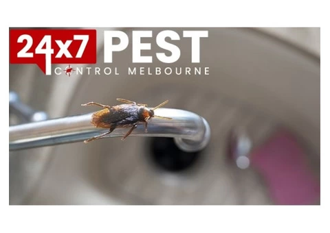 Pest Control in Melbourne - 3/5