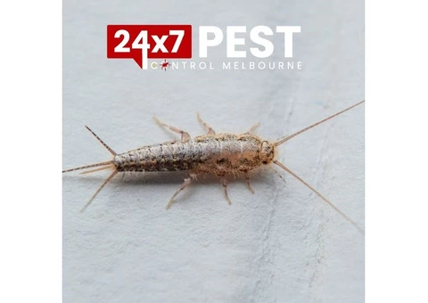 Pest Control in Melbourne - 4/5