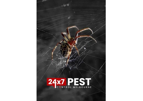 Pest Control in Melbourne - 5/5