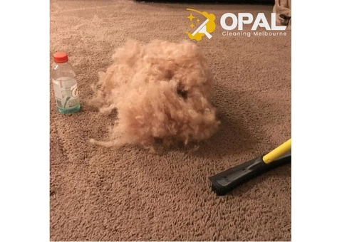 Carpet Cleaning Melbourne - 2/5