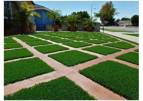 Why Choose Artificial Grass for Commercial?