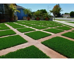Why Choose Artificial Grass for Commercial?