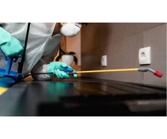 Silverfish Control Brisbane