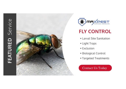 Flies Control Brisbane - 4/8