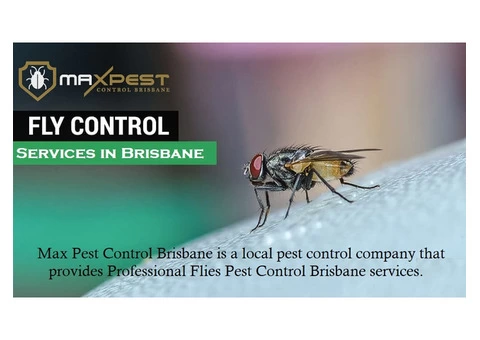 Flies Control Brisbane - 7/8