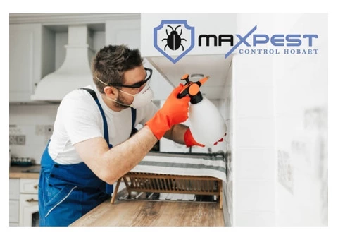 Termite Control Hobart - 7/7