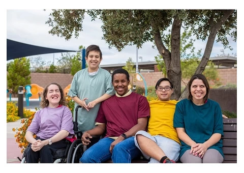 Shine Social and Communities - 4/4