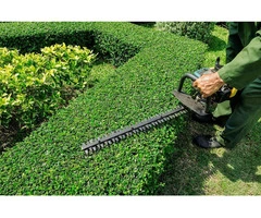 Landscaping Services Melbourne
