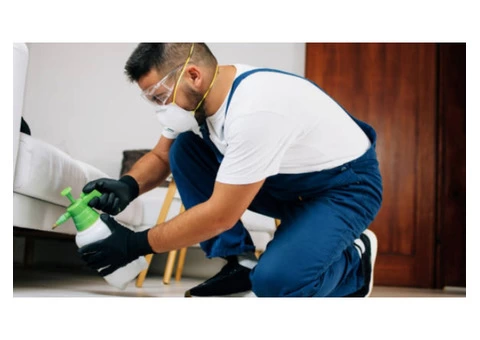 Fleas Control Sydney - 2/4