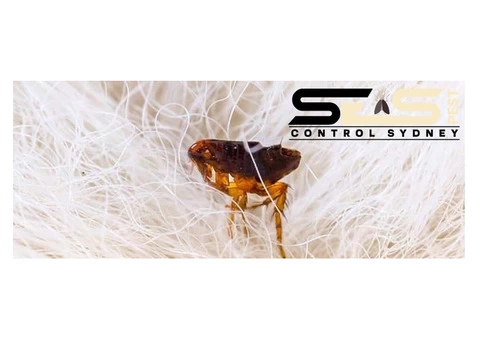 Fleas Control Sydney - 4/4