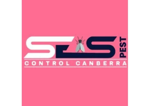 Bed Bug Control Canberra - 1/6
