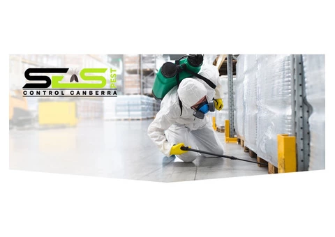 Bed Bug Control Canberra - 4/6