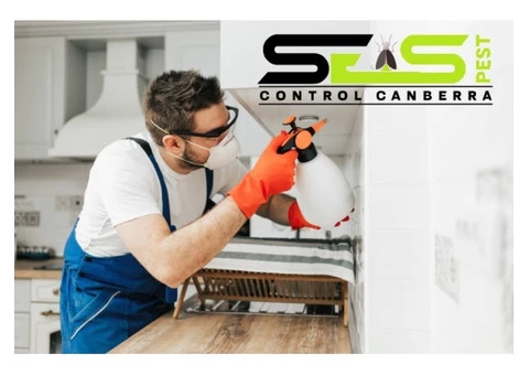 Bed Bug Control Canberra - 5/6