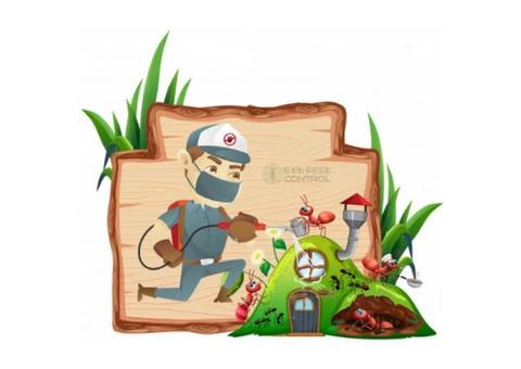 Ant Removal Hobart - 5/6