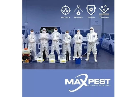 Pest Control Ringwood - 1/7