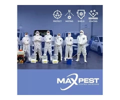 Pest Control Ringwood