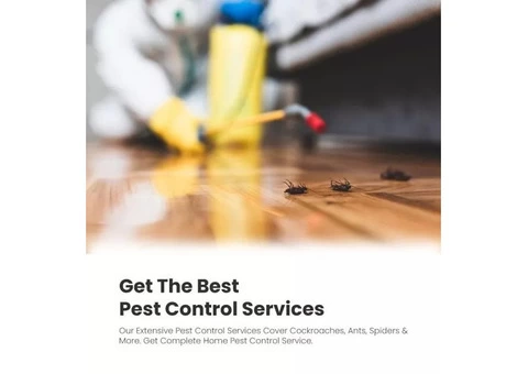 Pest Control Ringwood - 2/7
