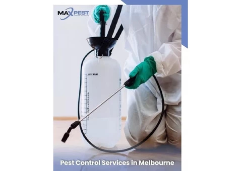 Pest Control Ringwood - 3/7