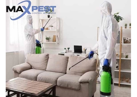 Pest Control Ringwood - 5/7