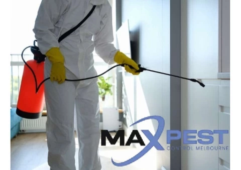 Pest Control Ringwood - 6/7