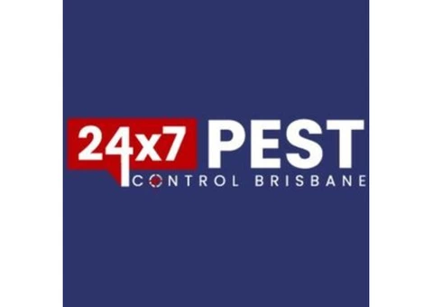 Ants Pest Control Brisbane - 4/4