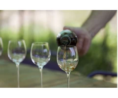 Wine Tasting Tours