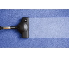 Capital Carpet Cleaning Canberra