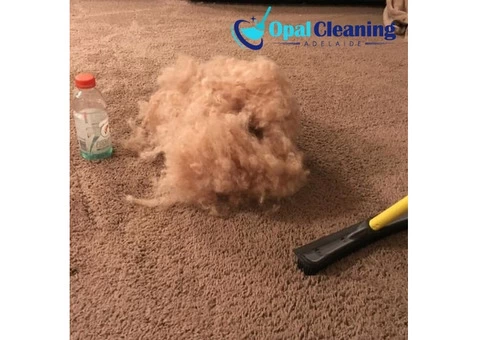 End Of Lease Carpet Cleaning Adelaide - 2/4