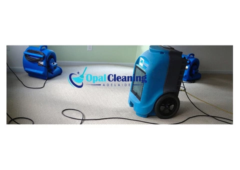Flood Damage Restoration Adelaide - 6/7