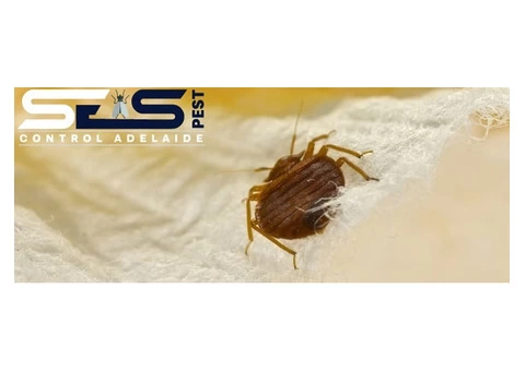 Bed Bug Control Adelaide - 4/4