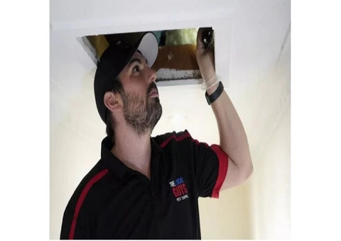 Spider Pest Control Adelaide | Thelocalguyspestcontrol.com.au