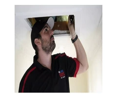 Spider Pest Control Adelaide | Thelocalguyspestcontrol.com.au