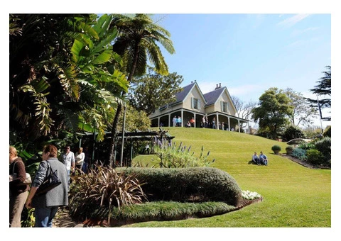 Experience Lush Green Lawn with High Quality Matilda Turf - 2/8