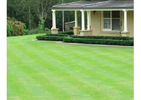 Experience Lush Green Lawn with High Quality Matilda Turf - 8/8