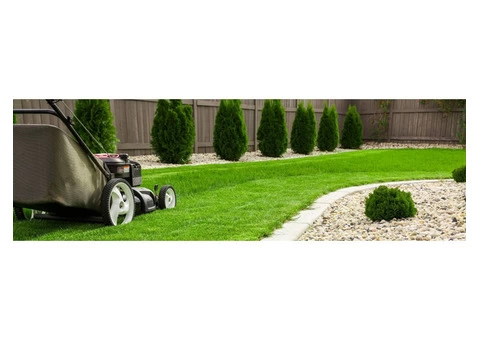 NDIS gardening services
