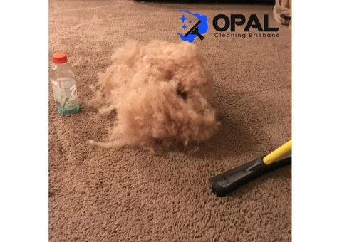 Carpet Cleaning Brisbane - 3/5