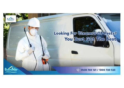 Best Pest Control Services In Melbourne - 1/3
