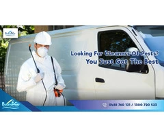 Best Pest Control Services In Melbourne