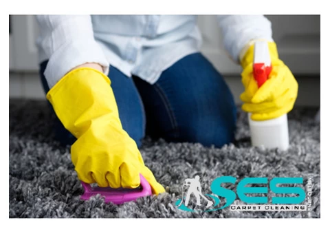 Carpet Cleaning Ivanhoe - 3/8