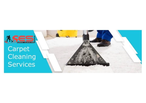 Carpet Cleaning Ivanhoe - 6/8
