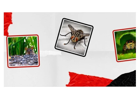 Massey Pest Control Melbourne - 2/3