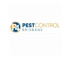 Bed Bug Control Brisbane