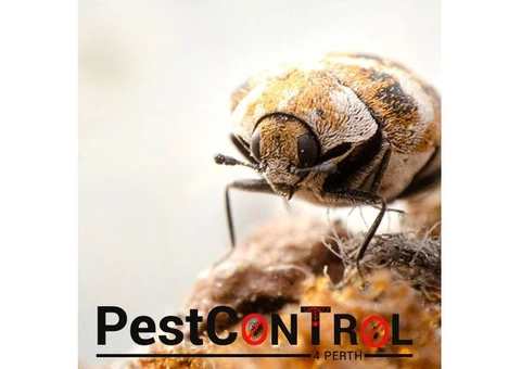 Beetle Control Perth - 2/5