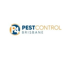Termite Control Brisbane