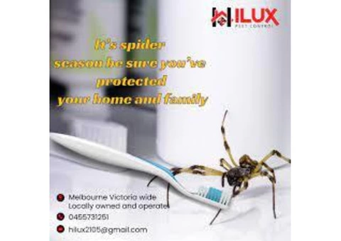 Professional Spider Pest Control Service In Melbourne