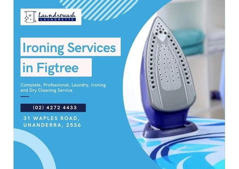 Call Laundrowash for Professional Ironing Services Figtree