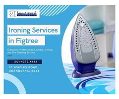 Call Laundrowash for Professional Ironing Services Figtree