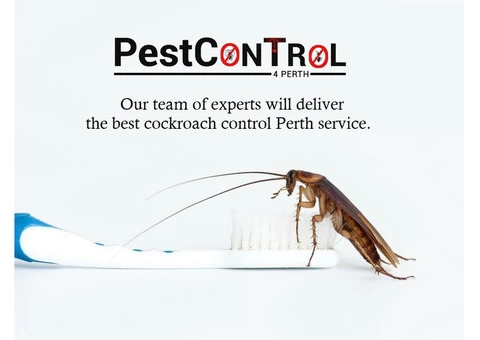 Cockroach Control Perth - 1/7