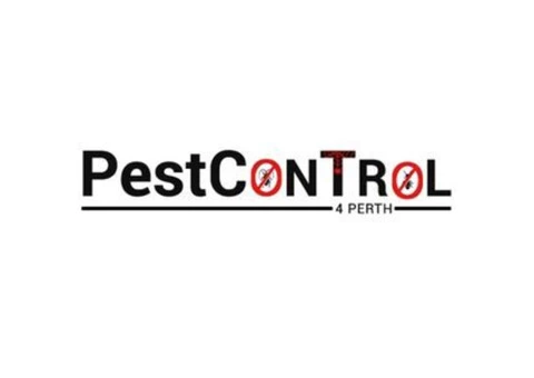 Cockroach Control Perth - 2/7