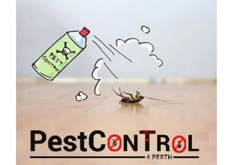 Cockroach Control Perth - 5/7